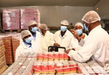 Why Botswana’s Private Sector Must Rise