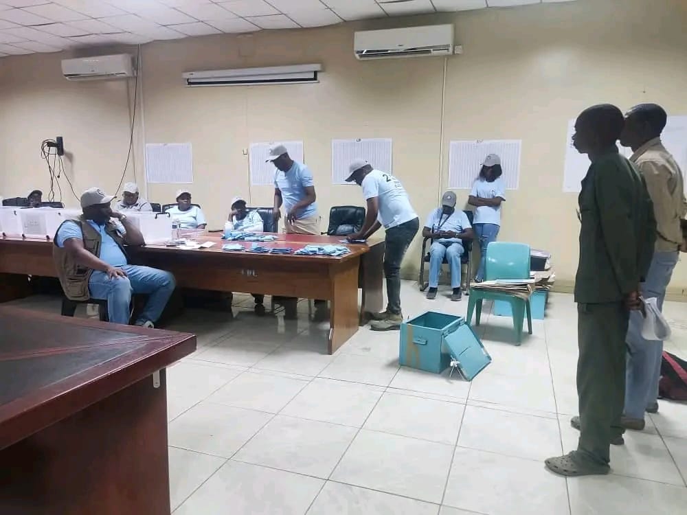 Inside How Botswana’s Referendum Act Works(Part 2)