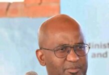 TANA Metro Rail, Bus Network Planned for Gaborone